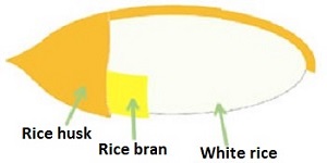 Rice by-products