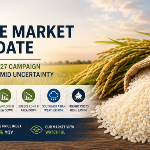 rice market update - September 2026